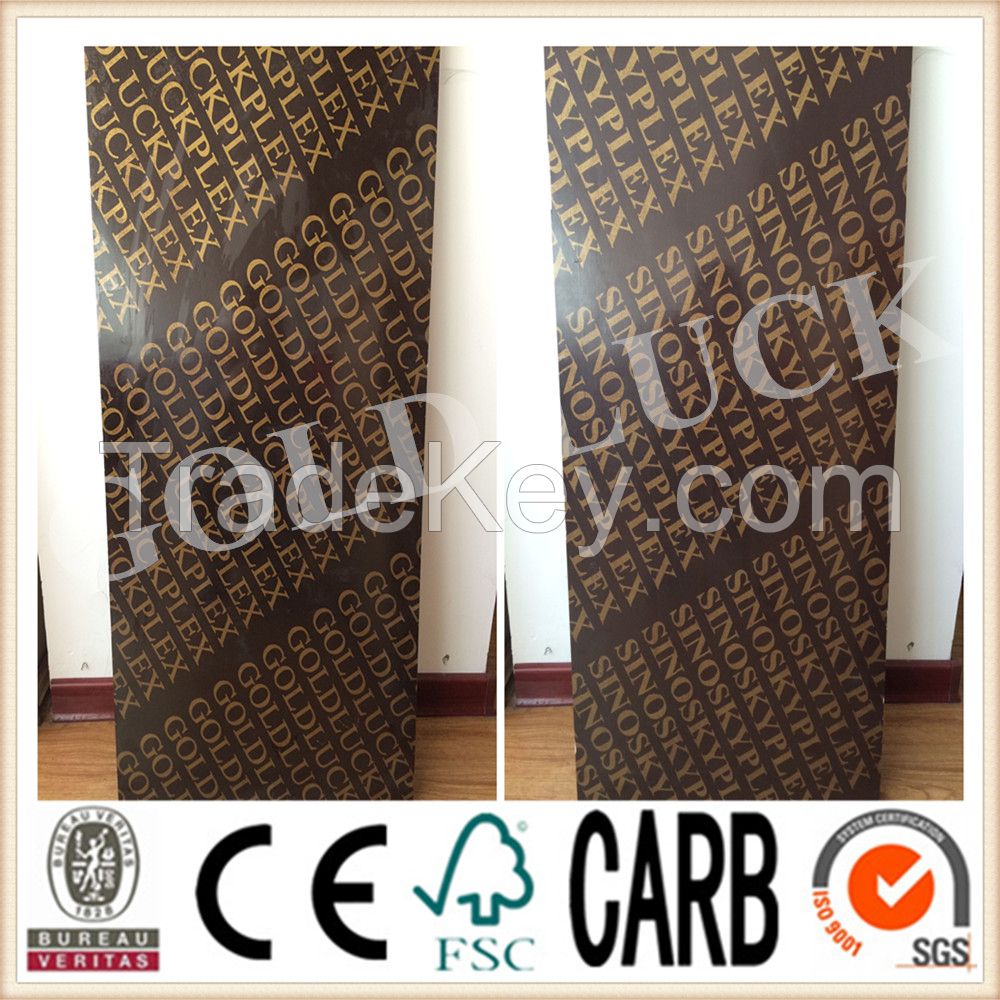 GOLDLUCKPLEX/shuttering plywood/china manufacturer