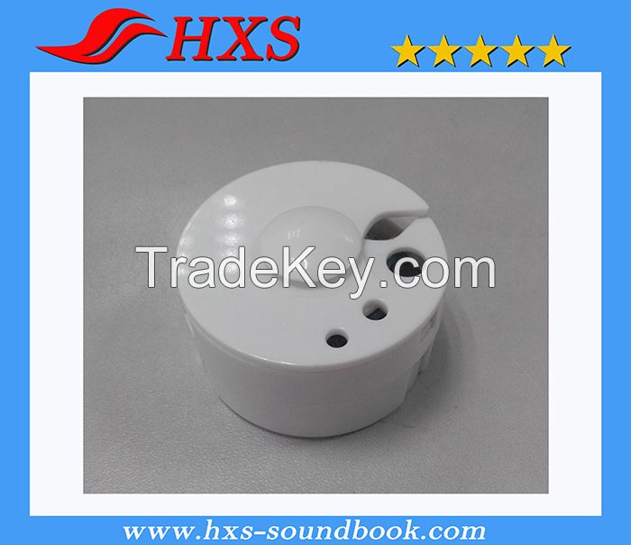 Factory Supplied Recordable Sound Module/ Voice Module/ Sound Box