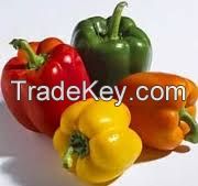 Color Fresh Capsicum