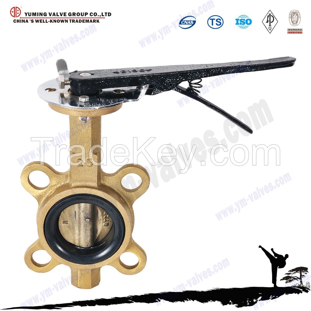 API standard Bronze Wafer price butterfly valve dn200