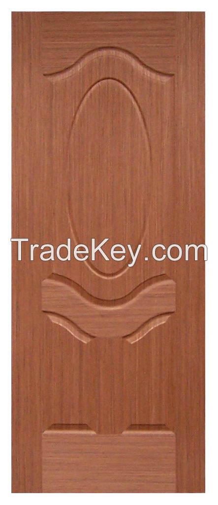 EV-TEAK door skin