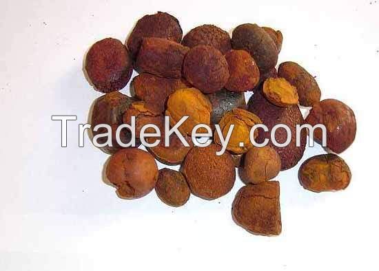 Cow Gallstones