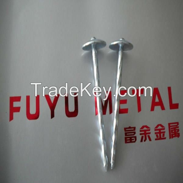 common wire nail, roofing nail, concrete nail, shoe tack nail, iron wire, link chain