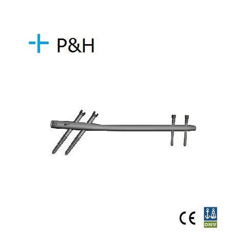 Femoral Interlocking Nail Orthopaedic Medical Implant 