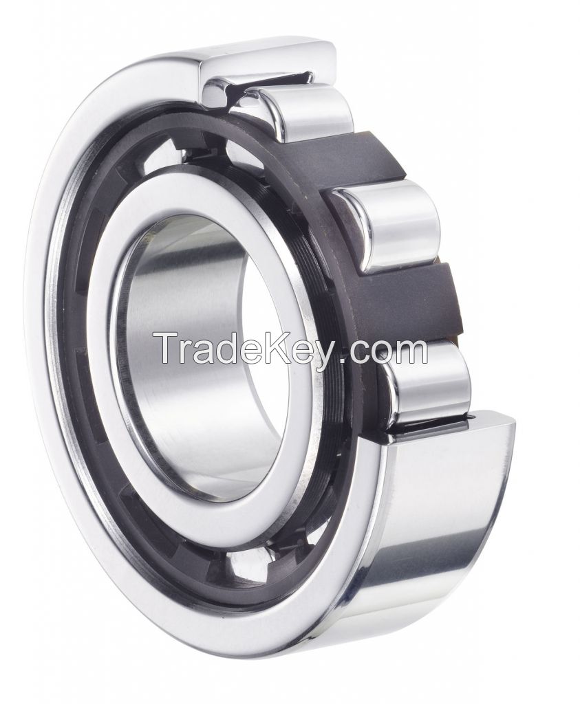 Cylinderical Roller Bearing