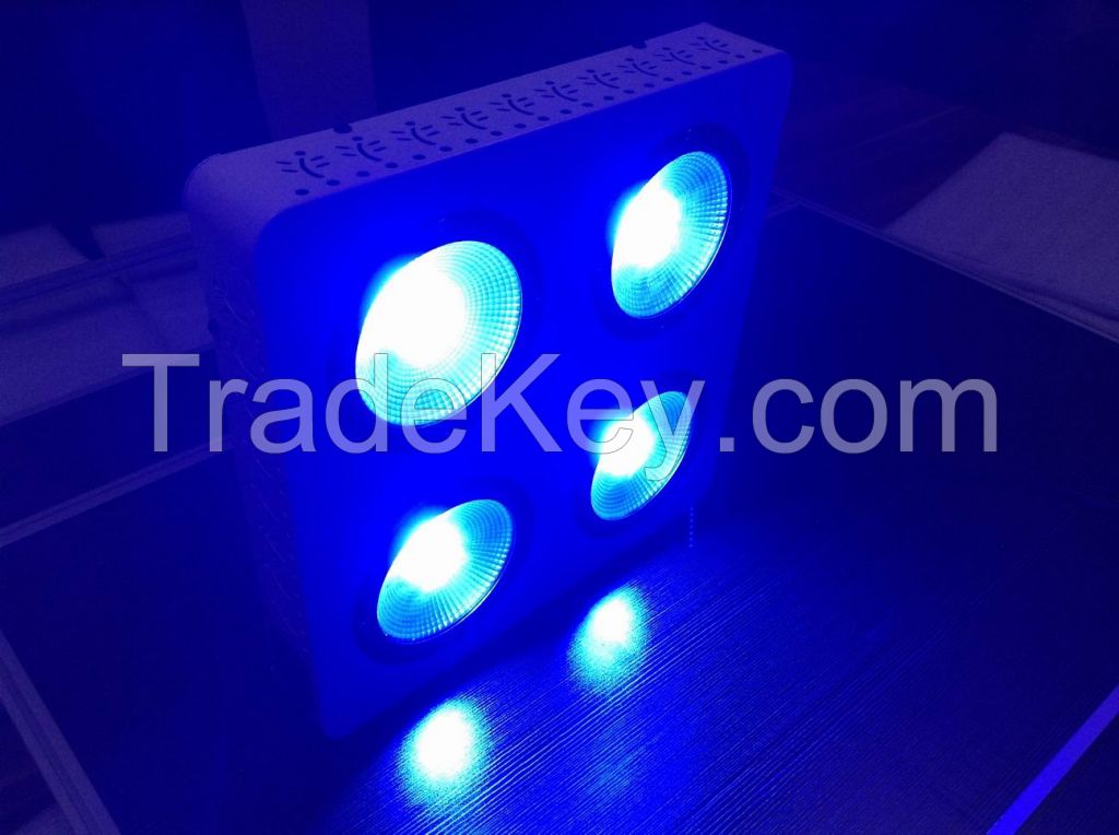 New Arrival Programmable High Luminous Efficacy LED Grow Light, COB/Promotional Price, for Veg/Bloom