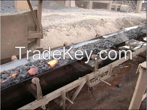 Heat Resistant Conveyor Belt