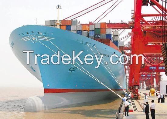 sea freight forwarding service