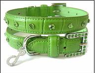 Pet Collar - Leash