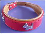 Pet Collar - Leash