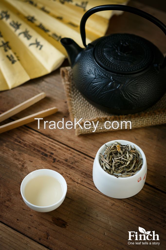 Finch Jasmine Tea Silver Needle