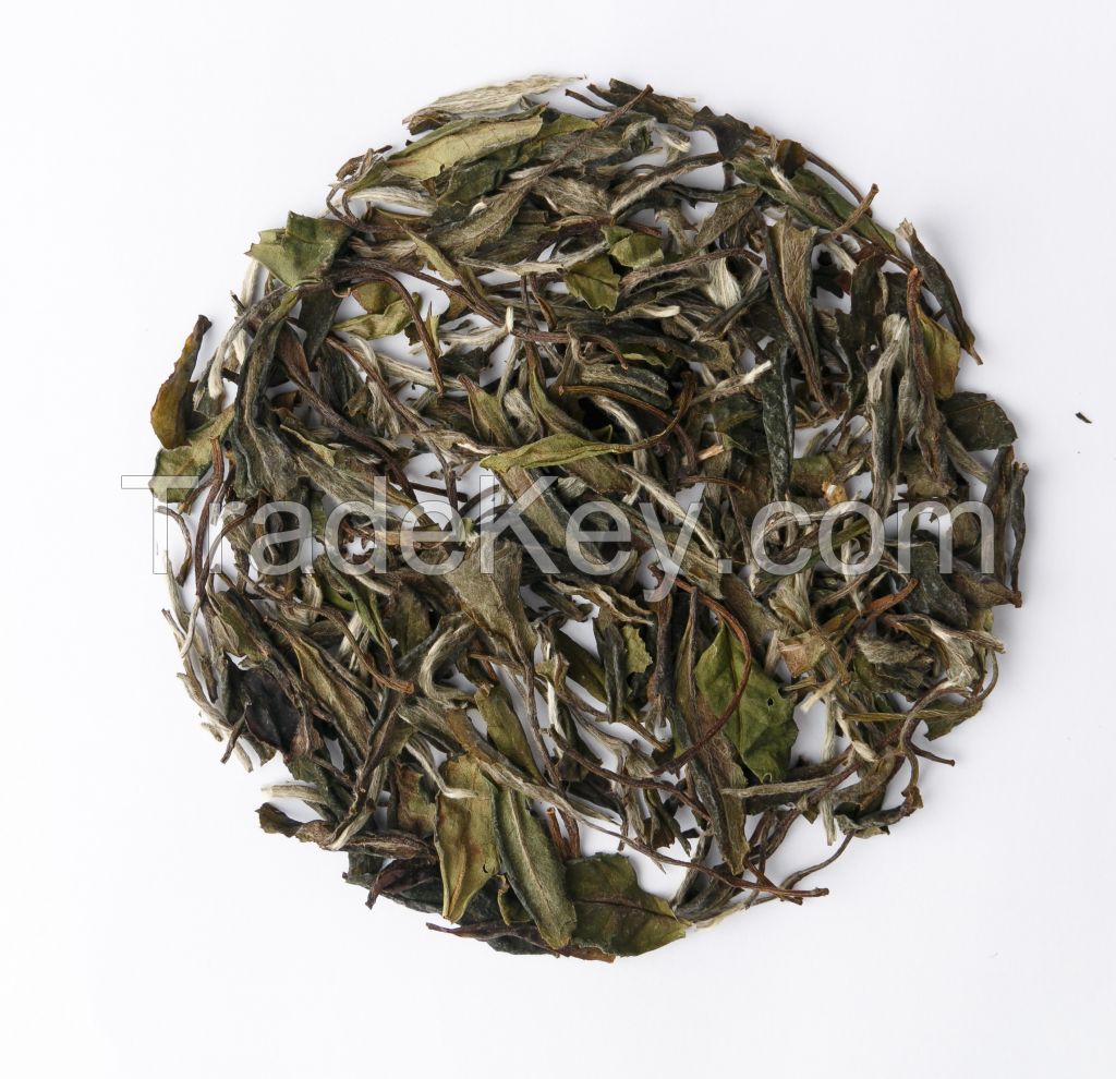 Finch White Tea White Peony Tea (Bai Du Dan)