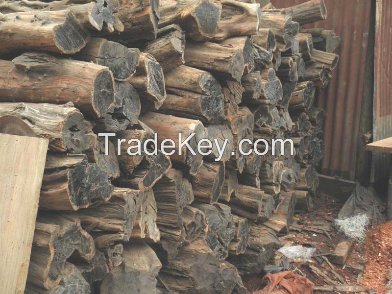 Ebony logs suppliers nigeria