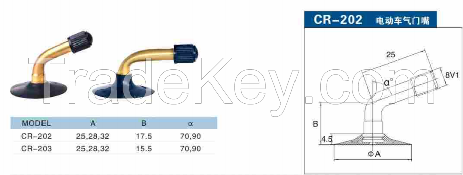 Electric vehicle valve CR202