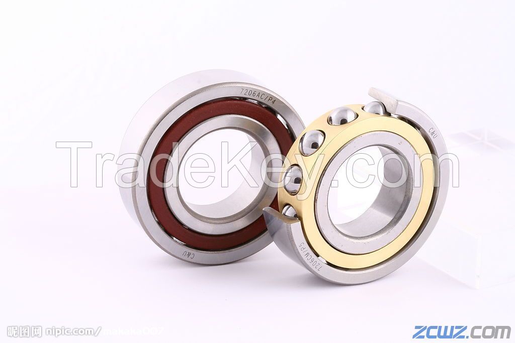 Angular Contact Ball Bearing