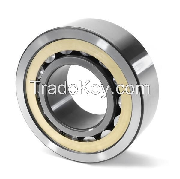 Cylindrical Roller Bearing