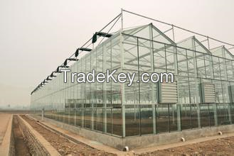 Glass Greenhouse