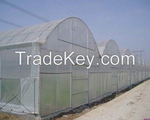 High-Quality Film Multi-Span Greenhouse