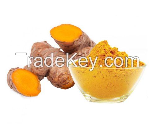 Curcumin Extract 95%