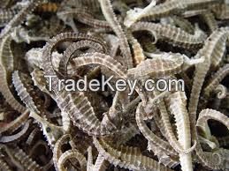 Dried Seahorse/Dry Sea Cucumber/Dry Abalone