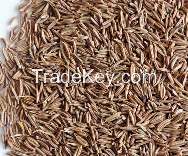 Caraway Seeds 