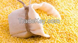 Yellow and White Corn