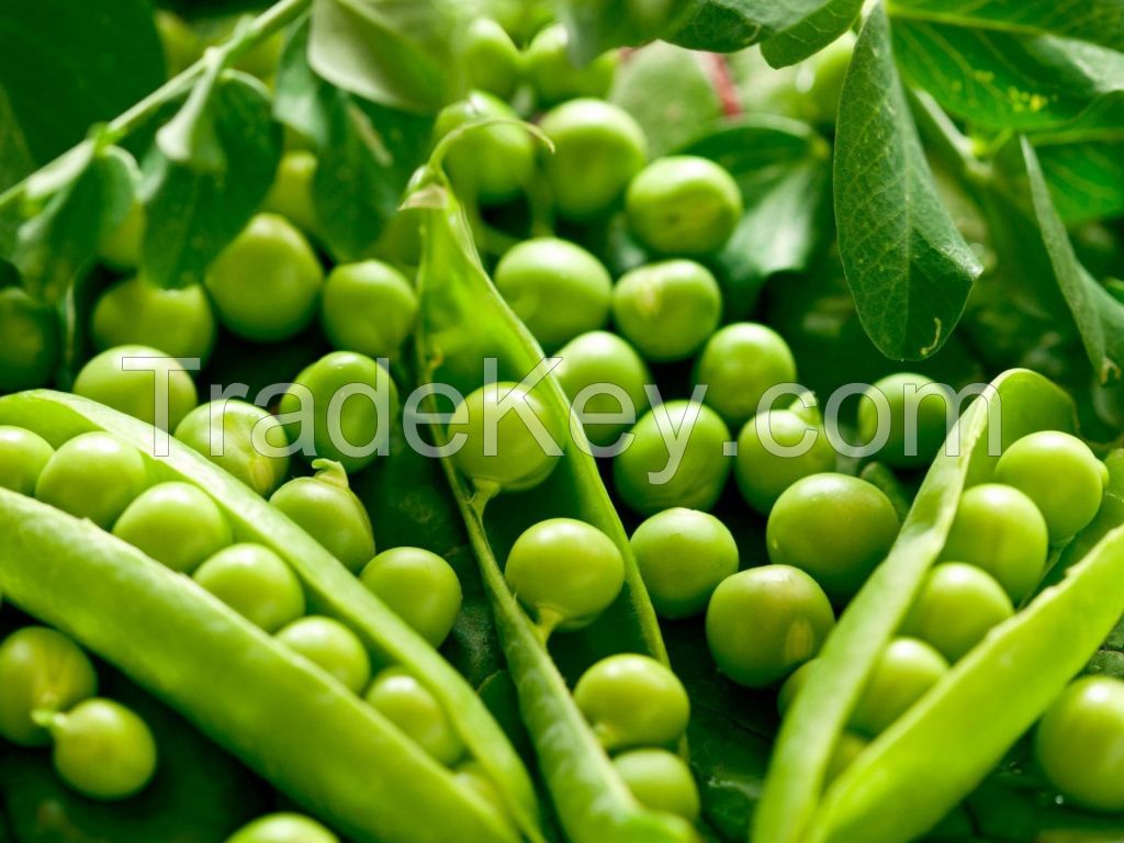 Green Peas