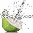 Coconut Water