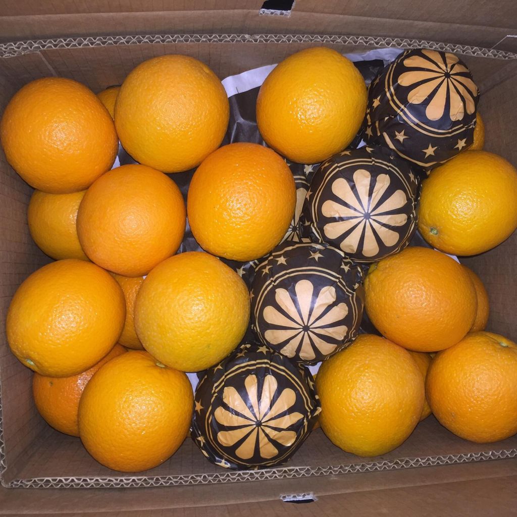 Navel Orange / Valencia Orange / Baladi Orange