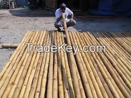 Premium Bamboo raw materials, bamboo poles, rattan, Wood