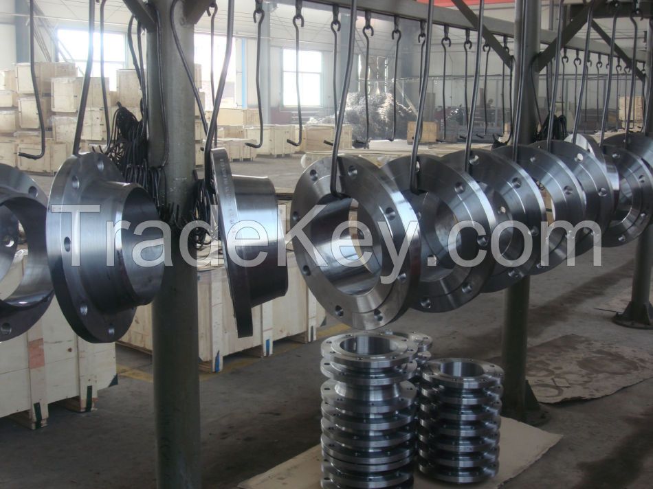 Stainless Steel Flanges