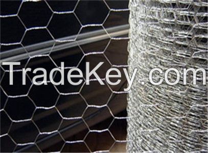 Hexagonal Wire Netting