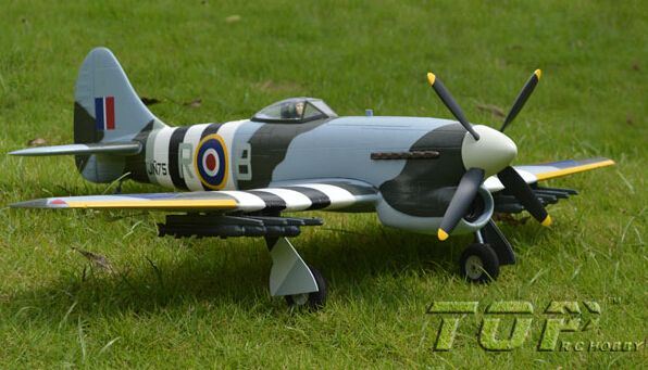 Remote control toys War-series RC airplane model Tempest