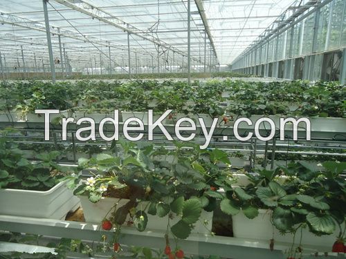 Thermal Shade Screen for Greenhouse cooling LA-12S