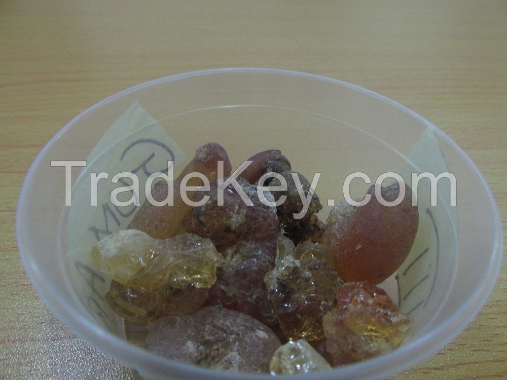 Gum Arabic