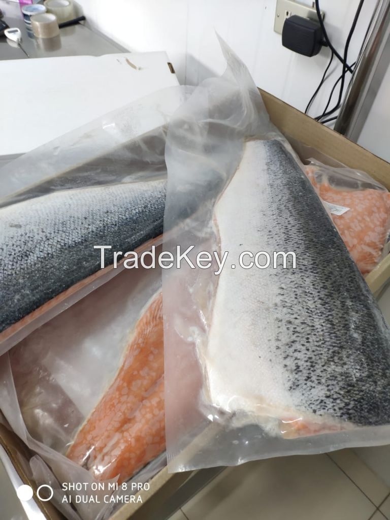 Atlantic Salmon, Hake, Squid, Cod, Snoek, Pacific pomfret, Sea bass, Swordfish