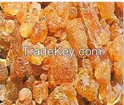 gum arabic