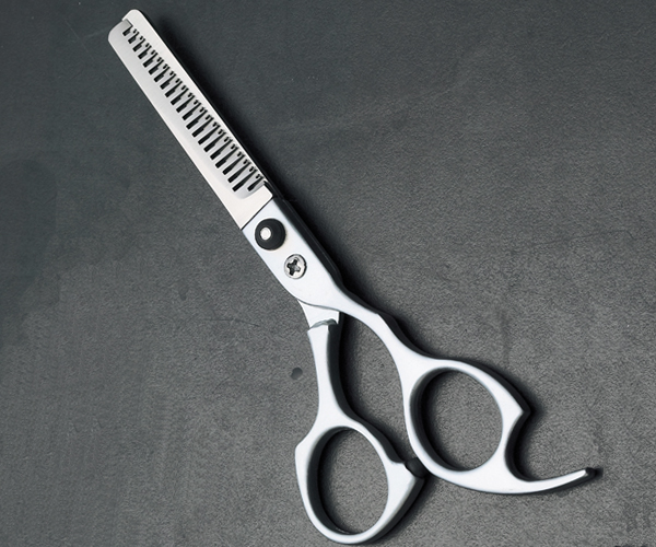 Hair Styling Scissors 858