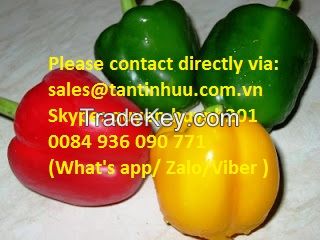 Fresh chilli from Viet Nam with best price and high quality. 