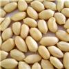 blanched peanut kernel