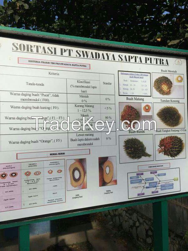 Palm Kernel Shell