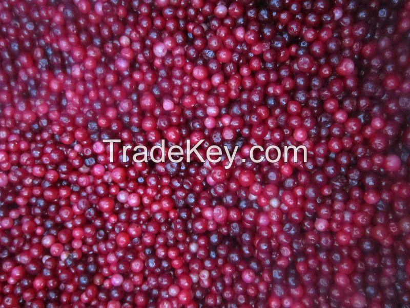 IQF Lingonberry