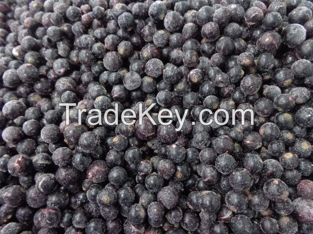 IQF Black Currant