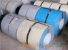 Prepainted Steel Coils