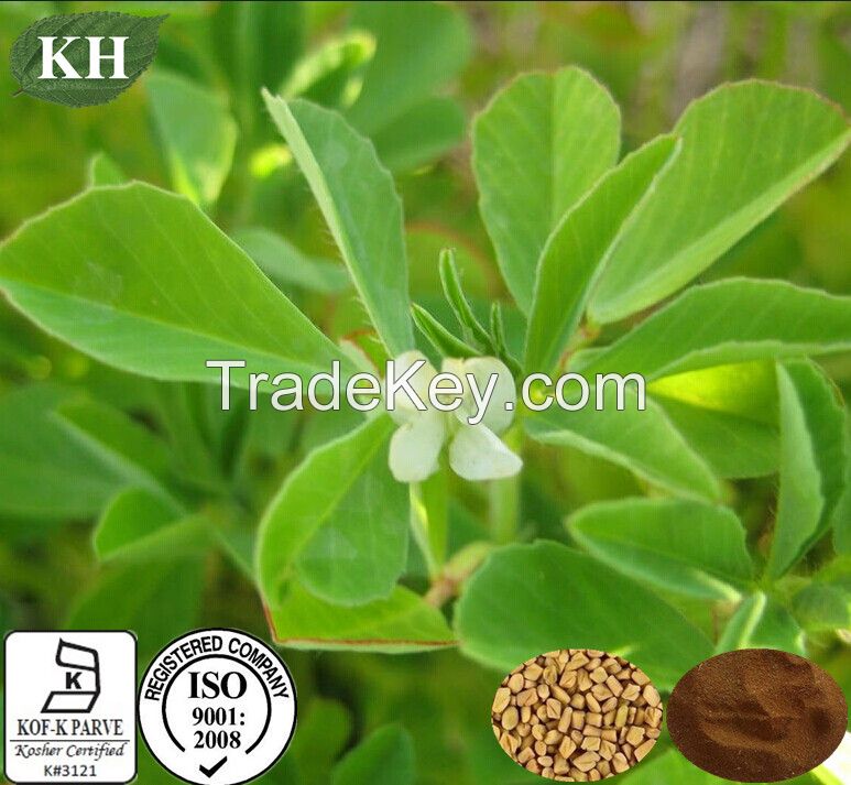 Widely Used Fenugreek Seed Extract/Semen Trigonellea Extract 