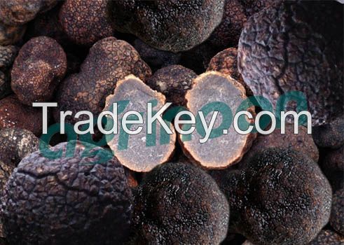 Dried Truffle