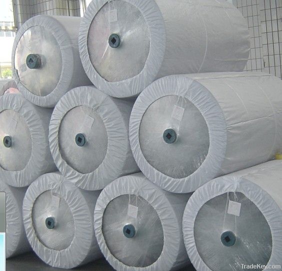 NYLON 6 TYRE CORD FABRIC