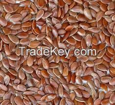 Flax Seeds