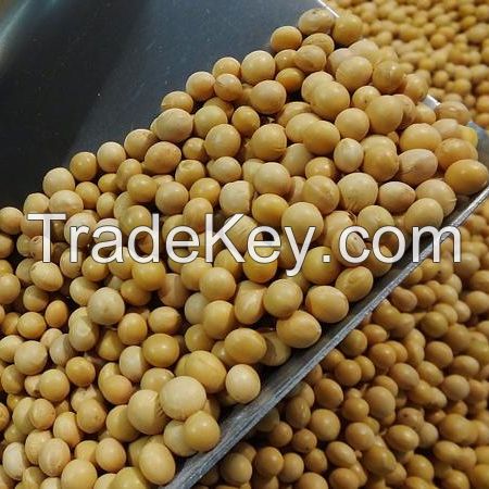 Soybeans