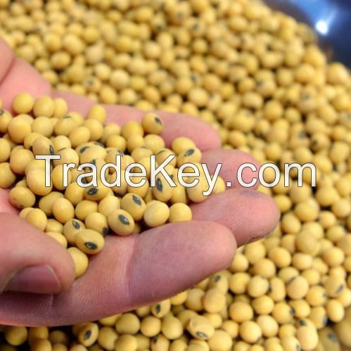 Soybeans